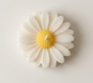 توزيعات زهرة الأقحوان