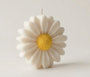 توزيعات زهرة الأقحوان