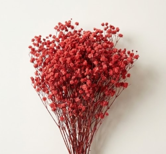 ورد الجيبسوفيلا المجفف