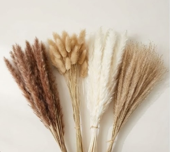 باقة البامباس والورد المجفف