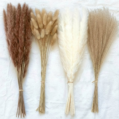 Four bundles of dried grasses with quantities labeled on a white background
